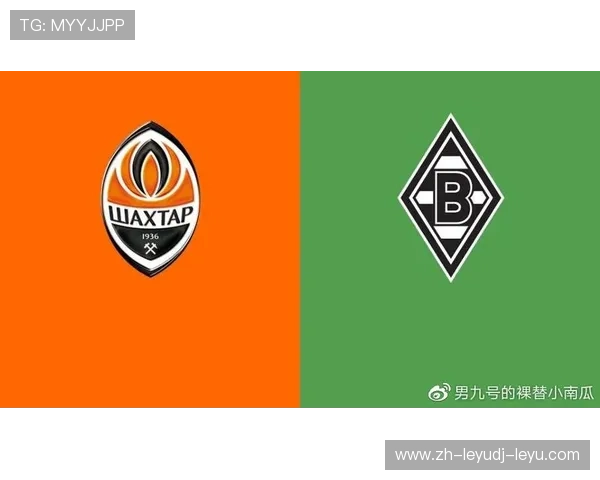 矿工球队与德甲球队的对比及竞技水平分析