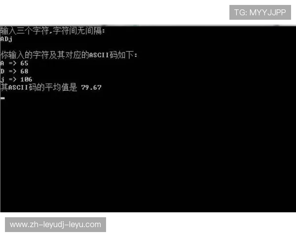 键盘上的角旗区：数字时代球迷互撕生态研究