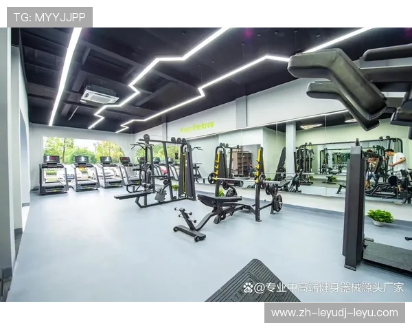 高端会所进口商用健身设备集成方案与案例研究 高端会所进口商用健身设备集成方案与案例研究